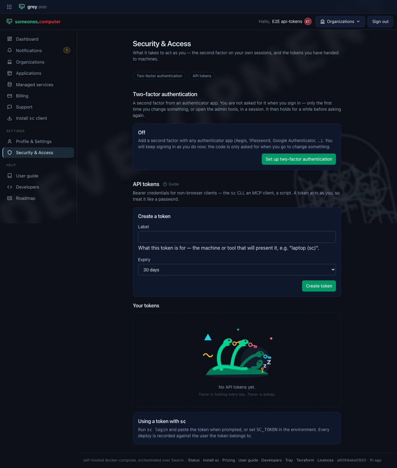 API tokens — empty state and create form